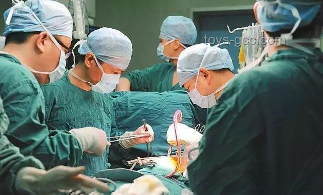 女子疑被蛇咬死 家属愿意尸检：医疗救治与公共安全深度剖析